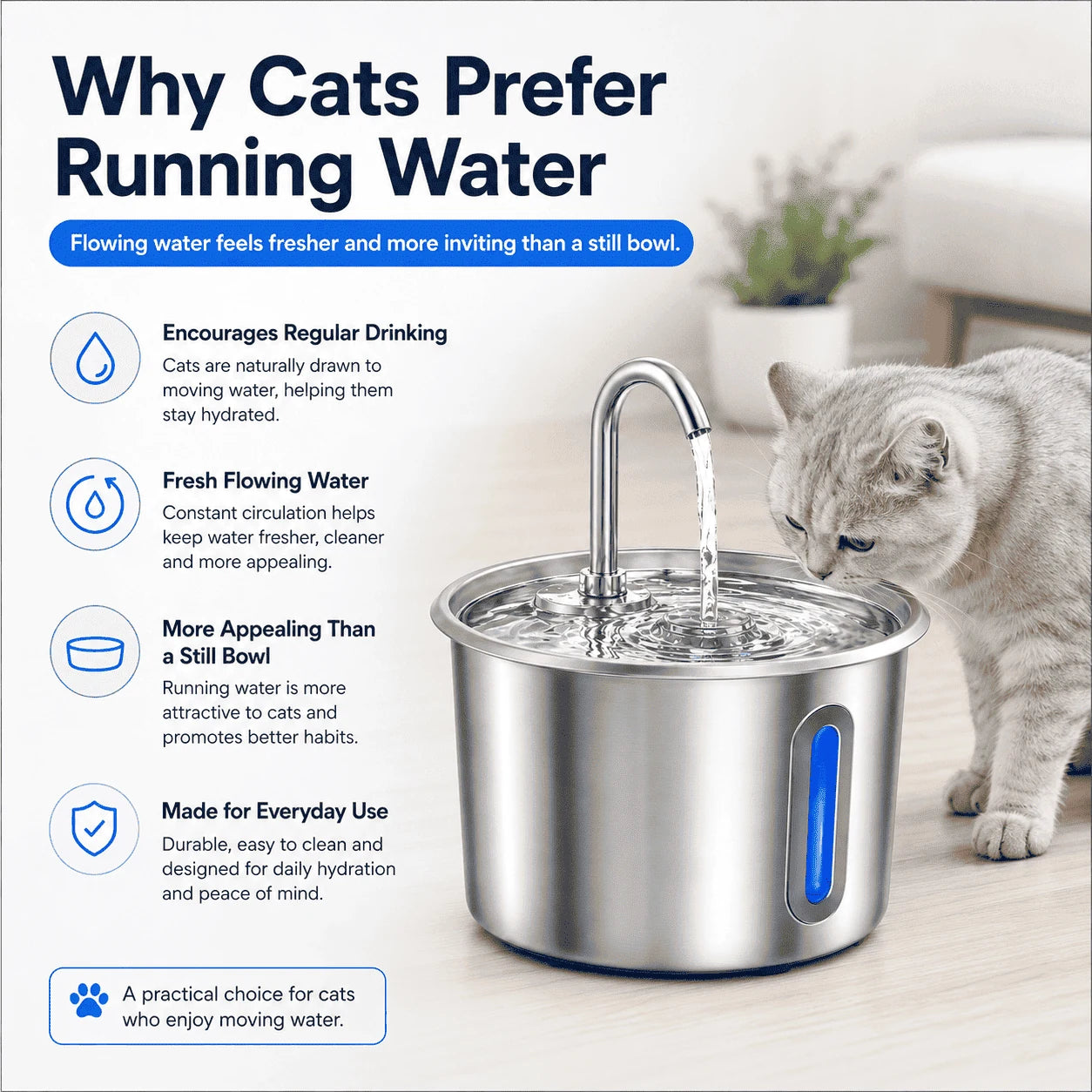 2.2L Stainless Steel Cat Water Fountain with LED Light & Filters