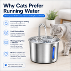 Stainless Steel Cat Water Fountain 2.2L with LED Light & 2 Filters