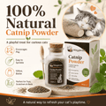 WaggleNest Natural Catnip Powder for Cats – 100ml with Spoon - wagglenest